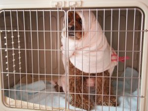 o0922069213718249678