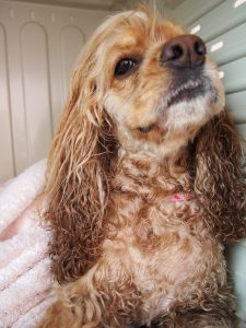 o1037138313718261542