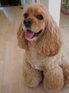 o1037138313718262271