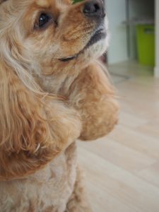 o1037138313718266054