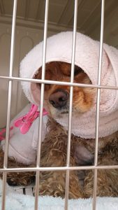 o1080192013718261539