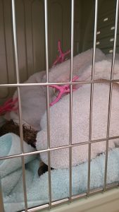 o1080192013718261540