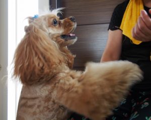 o1187094713718265466