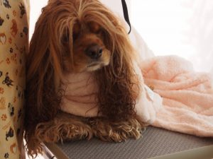 o1383103713718249679