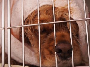 o1383103713718249680