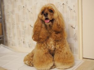 o1383103713718251441