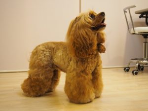 o1383103713718251442