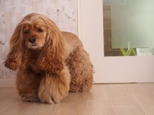 o1383103713718256273