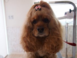 o1383103713718256275