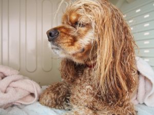 o1383103713718263390