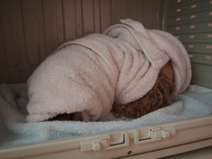 o1383103713718263391