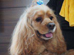 o1383103713718265465