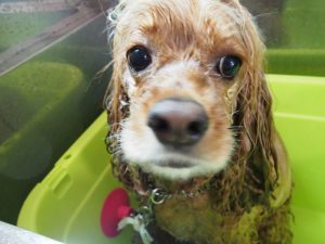 o1383103713718265468