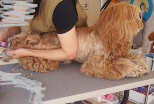 o1481100513718256276