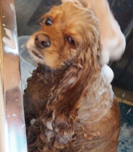 o2561292113718249681