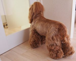 o3177256513718248236