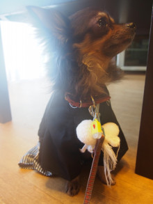 t02200293_0800106713533634253