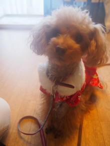 t02200293_0800106713533634254